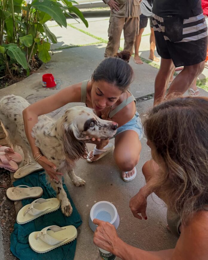 Como a comunicação sistêmica e práticas intuitivas ajudaram a encontrar o cachorro de Anitta