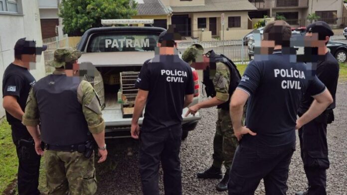 Operação Alcateia combate homicídios em Osório e Tramandaí