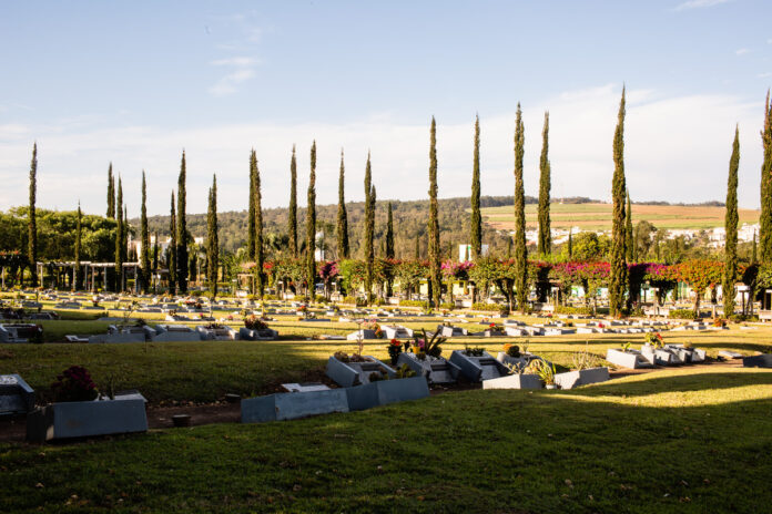 048d32b4-60d1-4319-a372-a14e788e285d-1 Grupo Zelo amplia geolocalização de jazigos em Finados