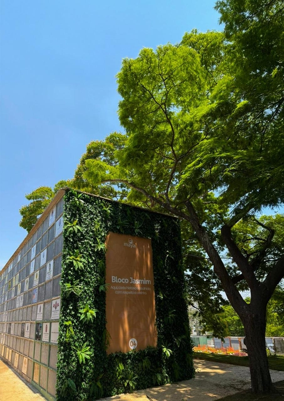 86509041-95b0-47fe-83bf-7e292c2b74af-1 Grupo Maya promove acolhimento no Dia de Finados