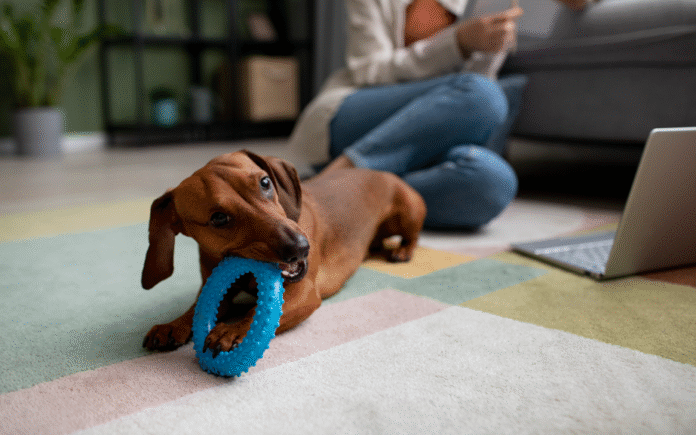 Captura de tela 2025-10-20 124500